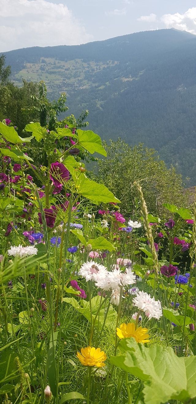 Petite escapade au vert